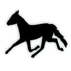 horse decal